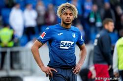 米兰体育官方-包含霍芬海姆大捷告捷，欧战希望重现曙光的词条