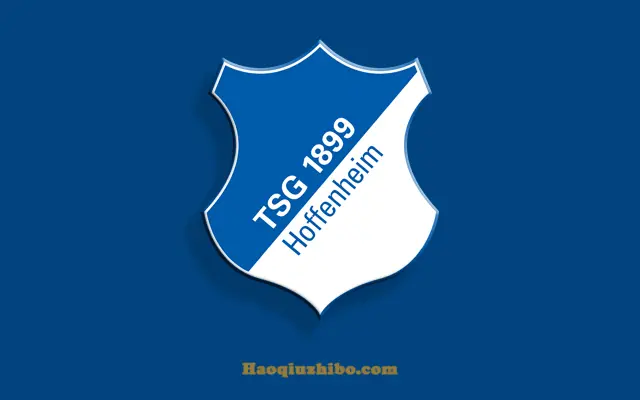 包含霍芬海姆大捷告捷，欧战希望重现曙光的词条